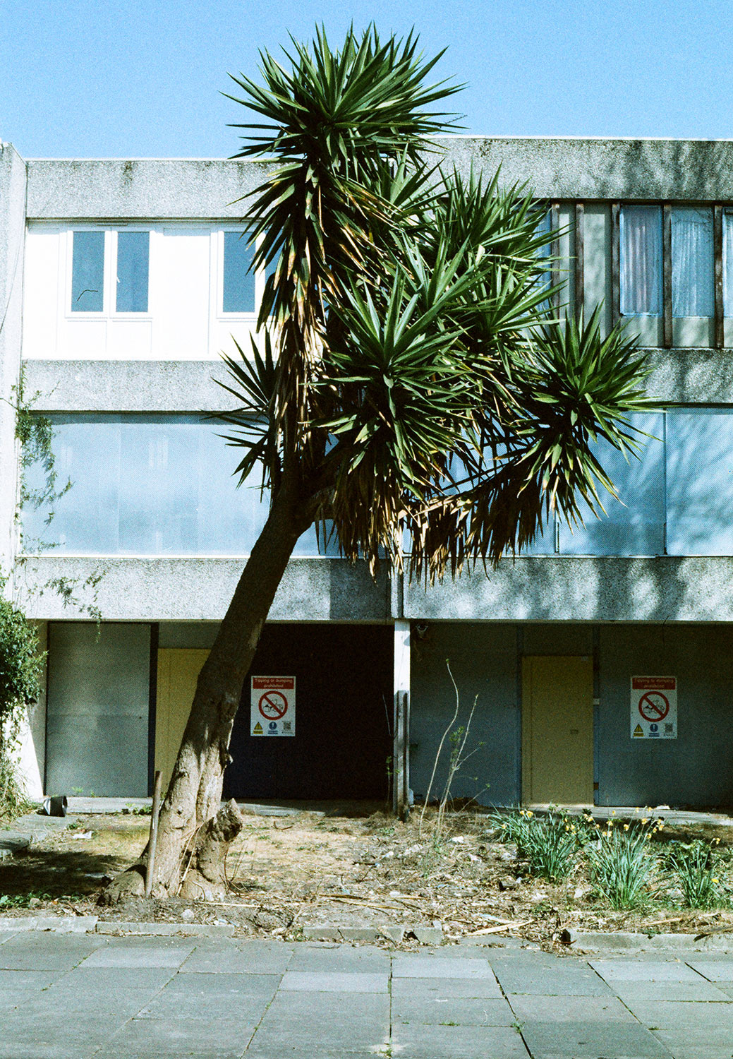 Exhibition Image